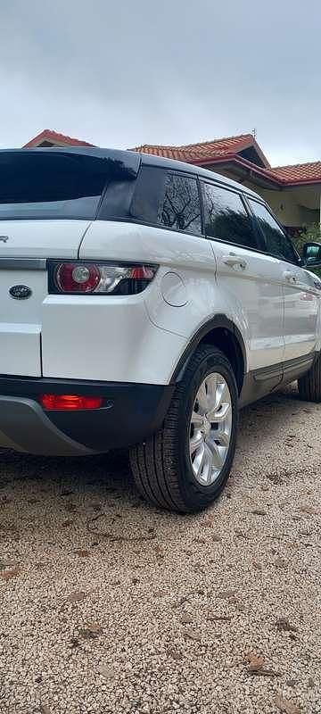 Usata Land Rover Range Rover evoque Pure 150 CV (110 kW) 2014 Bianco SUV