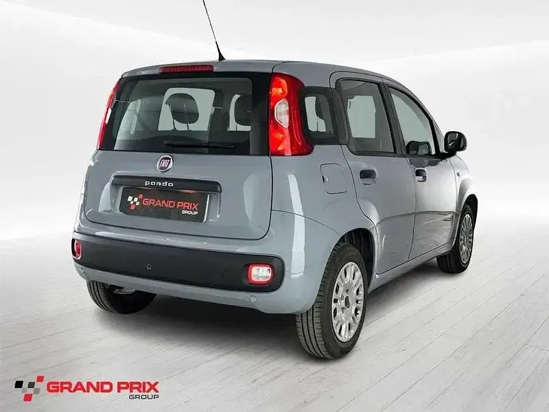 Usata Fiat Panda Easy 69 CV (50 kW) 2019 Grigio Utilitaria