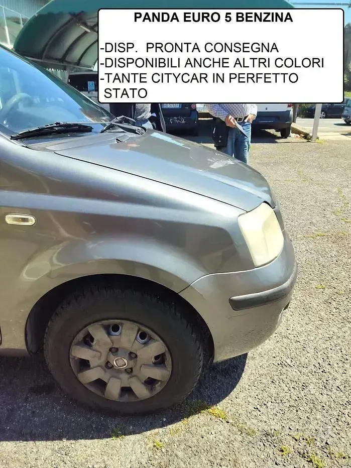 Usata Fiat Panda Emotion 69 CV (50 kW) 2010 Grigio Utilitaria