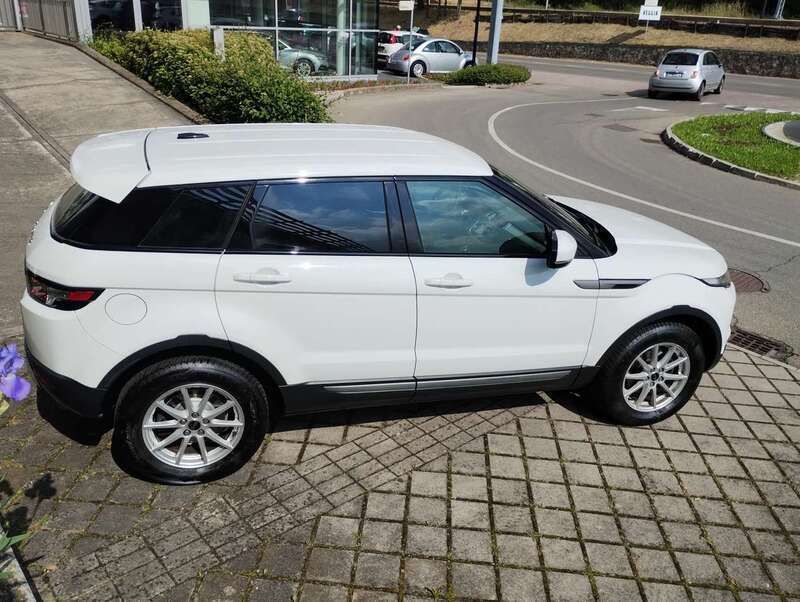 Usata Land Rover Range Rover evoque 190 CV (139 kW) 2012 Bianco SUV