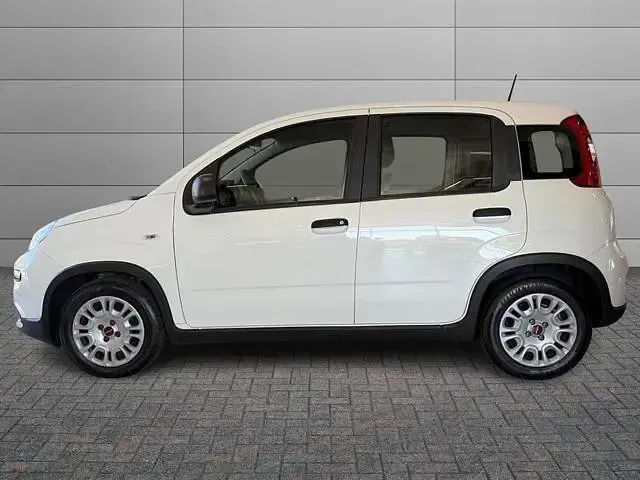 Usata Fiat Panda S 69 CV (50 kW) 2024 Bianco Utilitaria