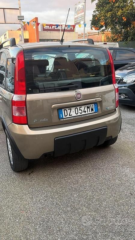 Usata Fiat Panda Dynamic 59 CV (43 kW) 2009 Marrone Utilitaria