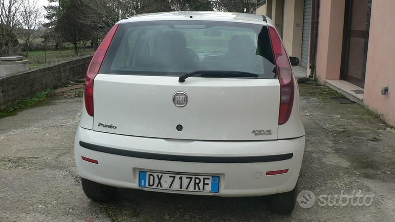 Usata Fiat Punto 77 CV (56 kW) 2009 Bianco Utilitaria