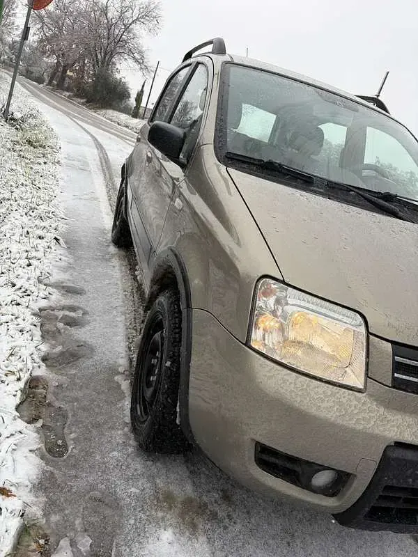 Usata Fiat Panda 4x4 Climbing 69 CV (50 kW) 2008 Utilitaria