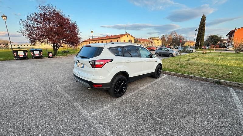 Usata Ford Kuga Business Edition 120 CV (88 kW) 2019 Bianco SUV