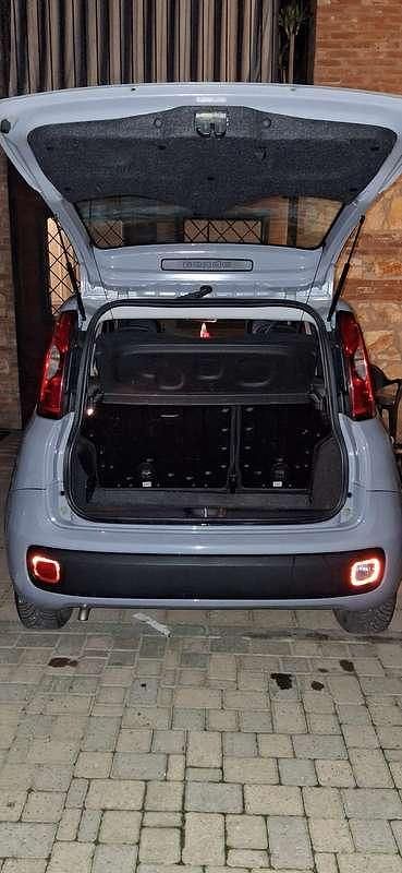 Usata Fiat Panda Easy 69 CV (50 kW) 2020 Grigio Utilitaria