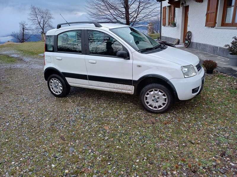 Usato 2006 Fiat Panda 4x4 1.2 Benzin 60 CV (4.000 €)
