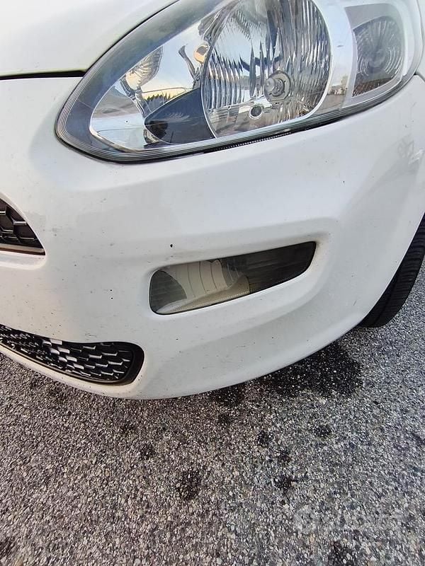 Usata Fiat Punto Evo 2014 Bianco Utilitaria