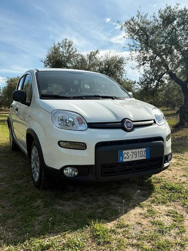 Usata Fiat Panda 70 CV (51 kW) 2023 Bianco Utilitaria