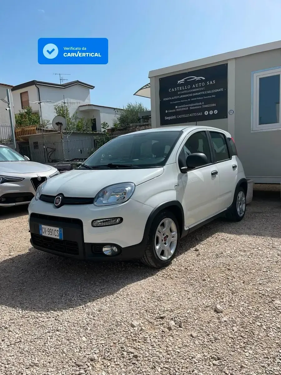 Usata Fiat Panda S 70 CV (51 kW) 2024 Bianco Utilitaria