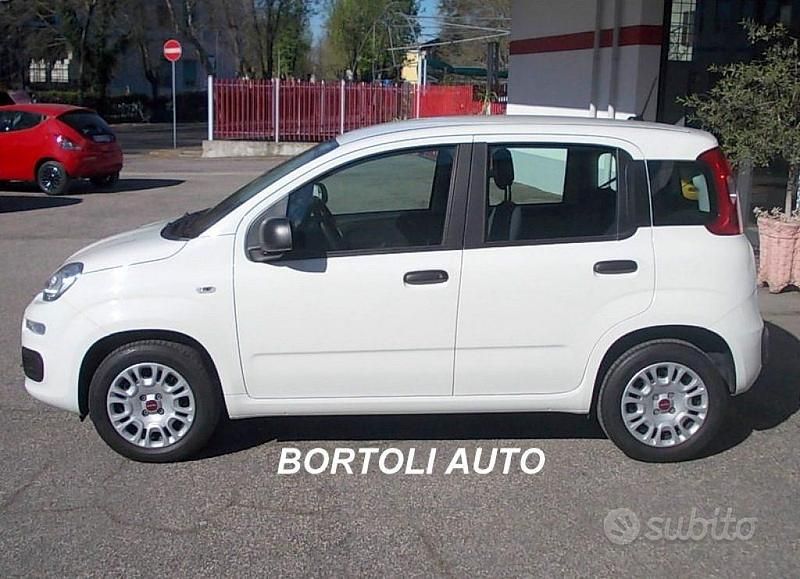 Usata Fiat Panda Easy 69 CV (50 kW) 2020 Bianco Utilitaria
