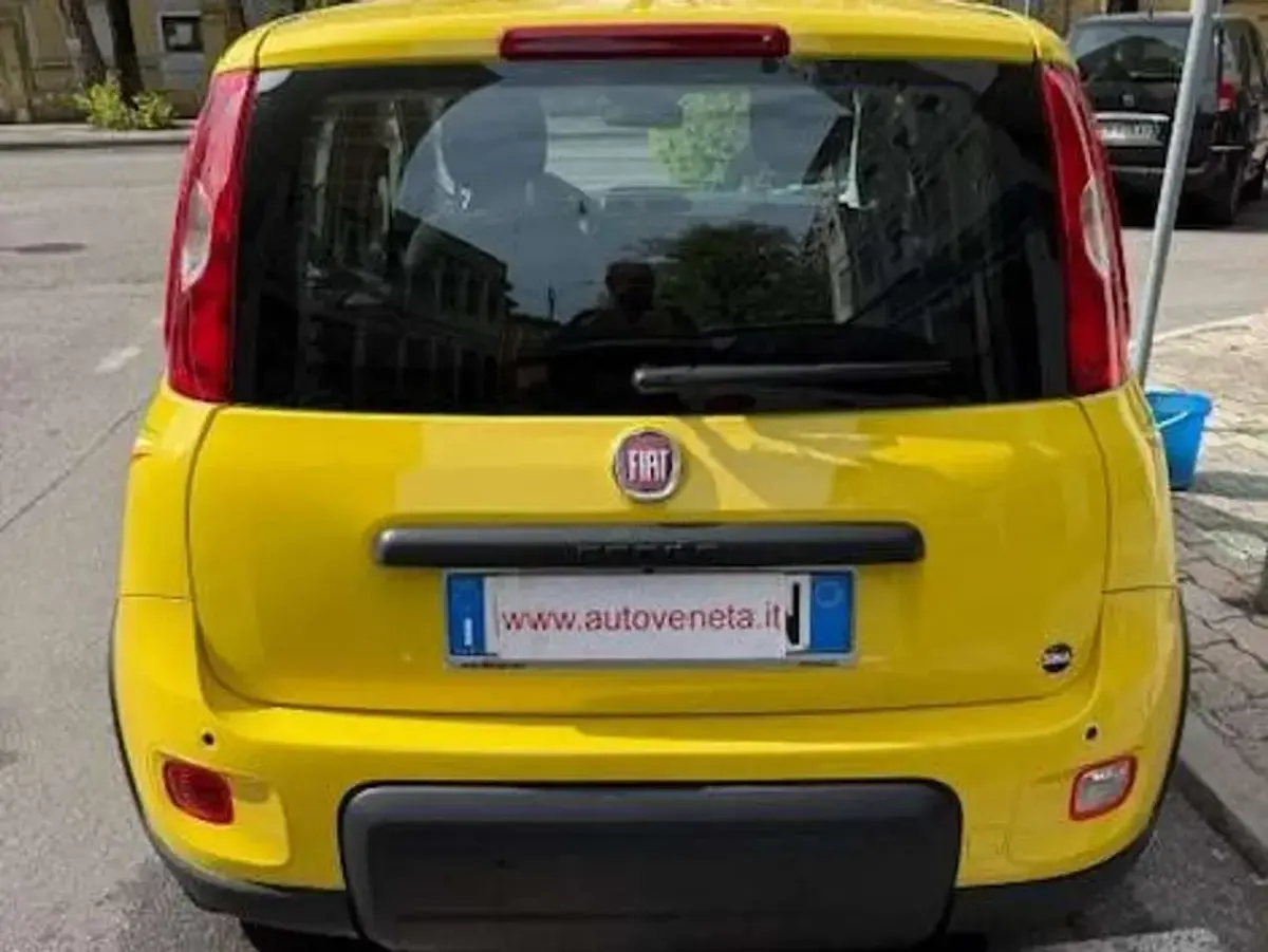 Usata Fiat Panda S 69 CV (50 kW) 2024 Giallo Utilitaria