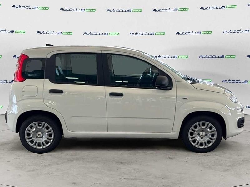 Nuova Fiat Panda Icon 69 CV (50 kW) 2025 Bianco Utilitaria