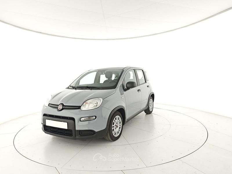 Usata Fiat Panda S 69 CV (50 kW) 2023 Grigio Utilitaria