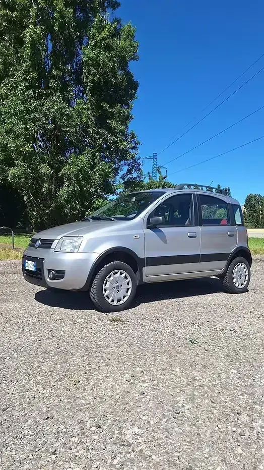 Usata Fiat Panda 4x4 60 CV (44 kW) 2006 Grigio Utilitaria