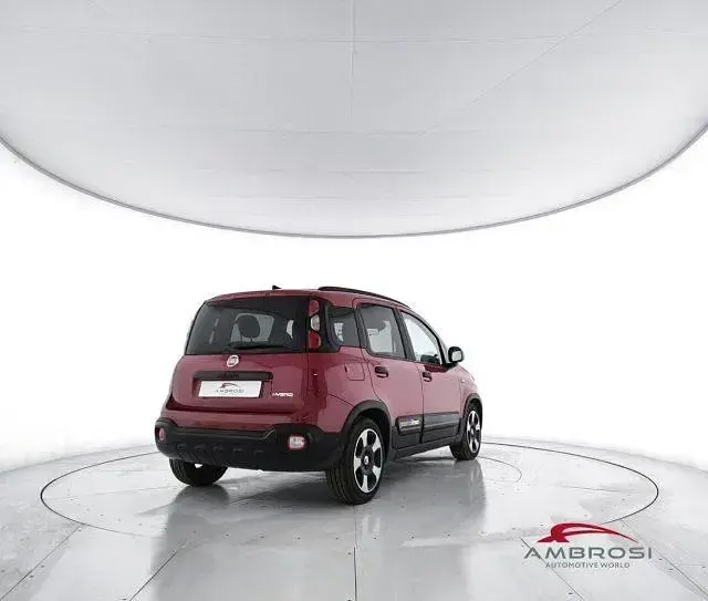 Usata Fiat Panda Cross Cross 69 CV (50 kW) 2025 Rosso Utilitaria