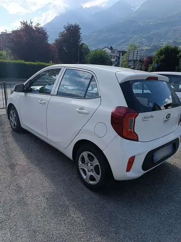 Usata Kia Picanto 67 CV (49 kW) 2019 Bianco Utilitaria