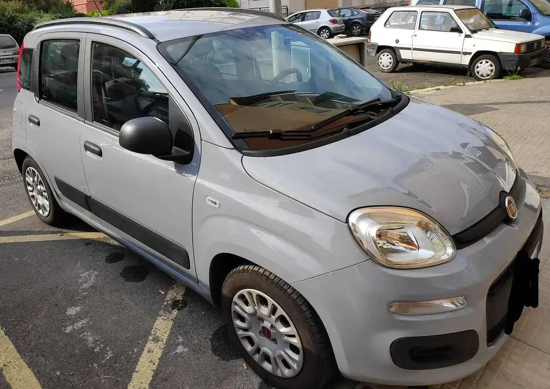 Usata Fiat Panda 4x4 S 95 CV (69 kW) 2017 Utilitaria