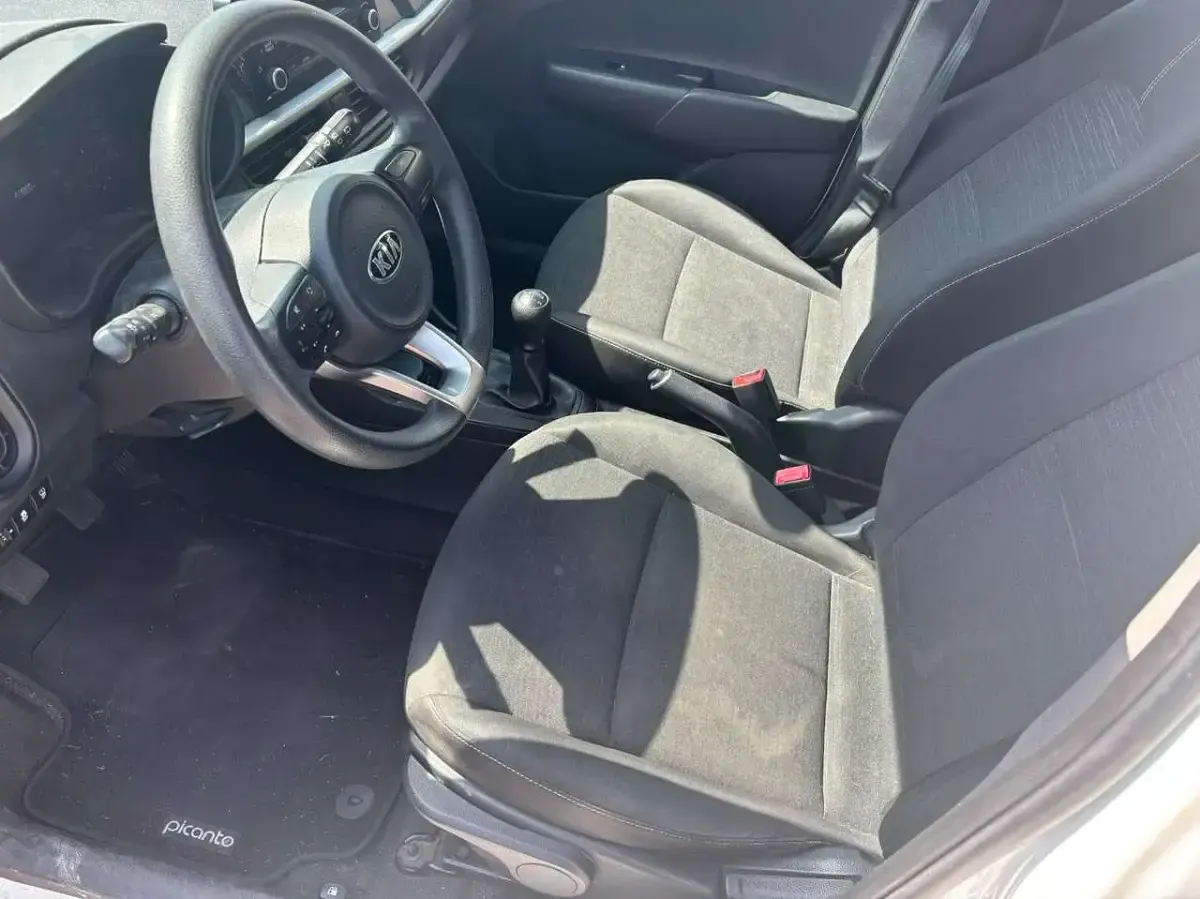 Usata Kia Picanto Active 65 CV (47 kW) 2019 Bianco Utilitaria