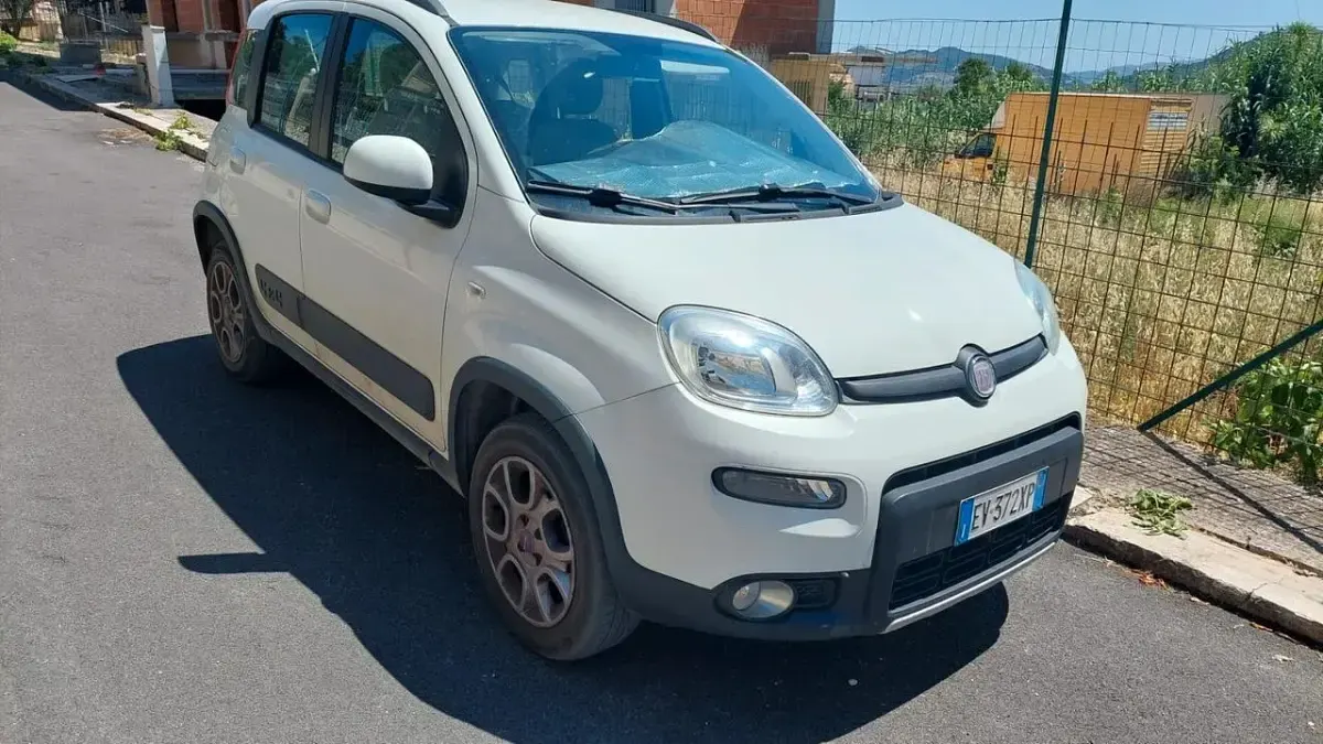 Usata Fiat Panda 4x4 S 75 CV (55 kW) 2014 Bianco Utilitaria