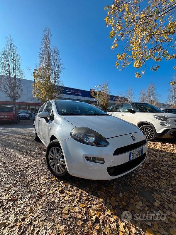 Usata Fiat Punto Lounge 75 CV (55 kW) 2013 Bianco Berlina