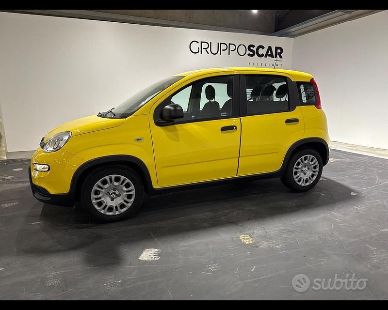 Usata Fiat Panda S 70 CV (51 kW) 2024 Giallo Monovolume