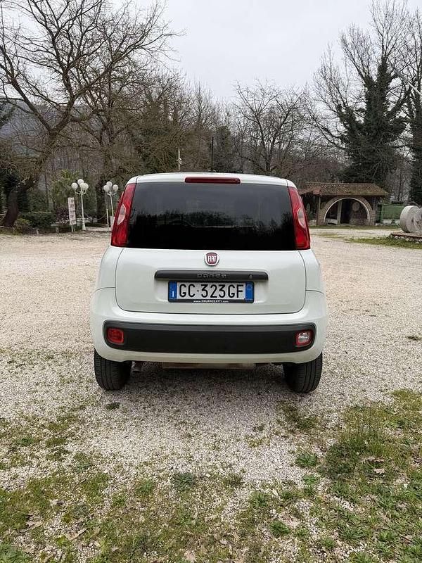 Usata Fiat Panda 4x4 Pop 86 CV (63 kW) 2020 Bianco Utilitaria