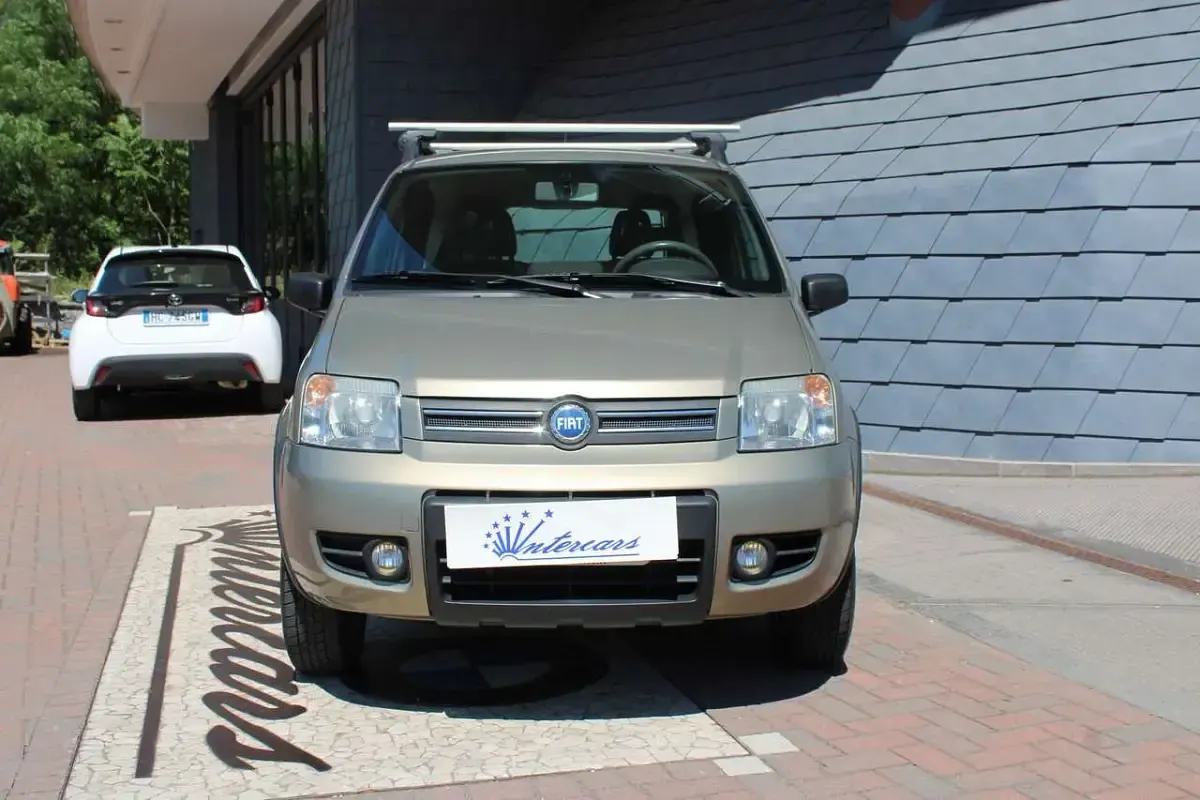 Usata Fiat Panda 4x4 Climbing 69 CV (50 kW) 2006 Oro Utilitaria