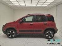 Usata Fiat Panda Cross Cross 70 CV (51 kW) 2024 Rosso Utilitaria