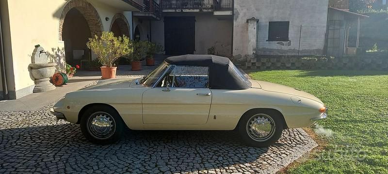 Usata Alfa Romeo Spider 1960 Cabrio