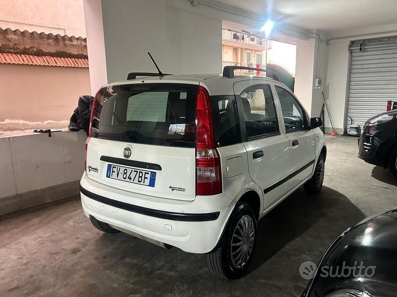 Usata Fiat Panda Dynamic 60 CV (44 kW) 2009 Bianco Utilitaria