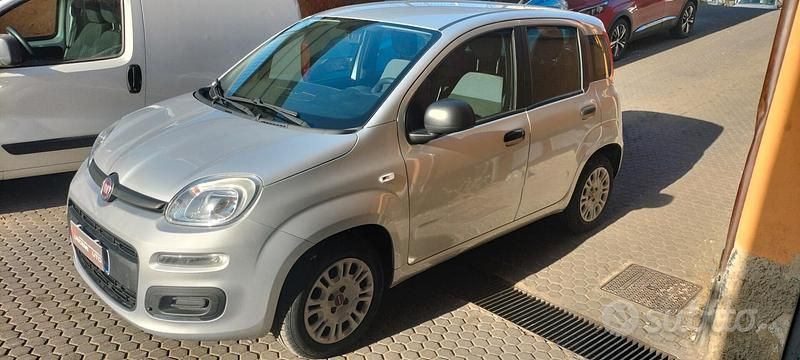 Usata Fiat Panda Easy 69 CV (50 kW) 2018 Grigio Utilitaria