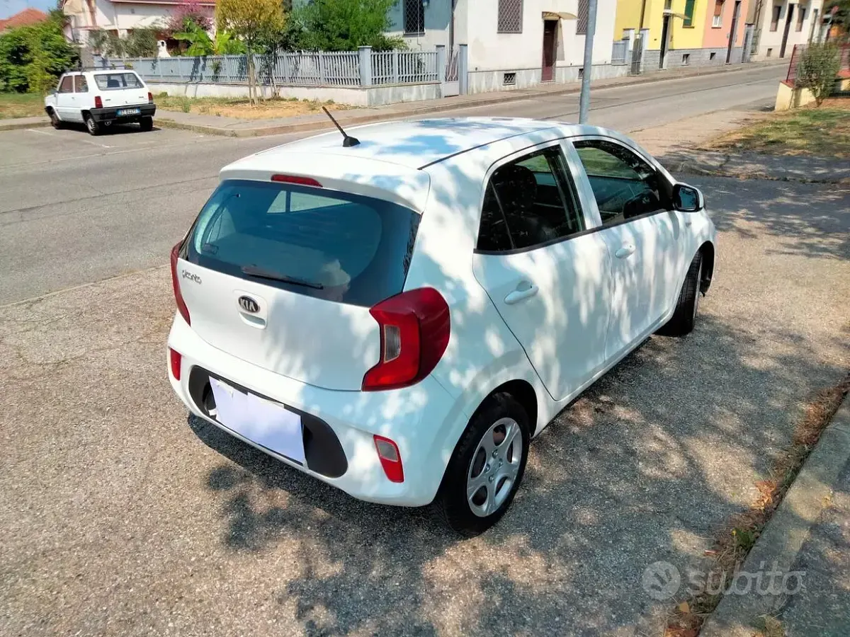 Usata Kia Picanto 67 CV (49 kW) 2018 Bianco Utilitaria