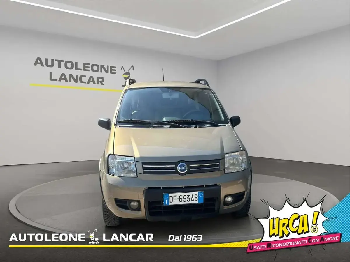 Usata Fiat Panda 4x4 Climbing 60 CV (44 kW) 2007 Bronzo Utilitaria