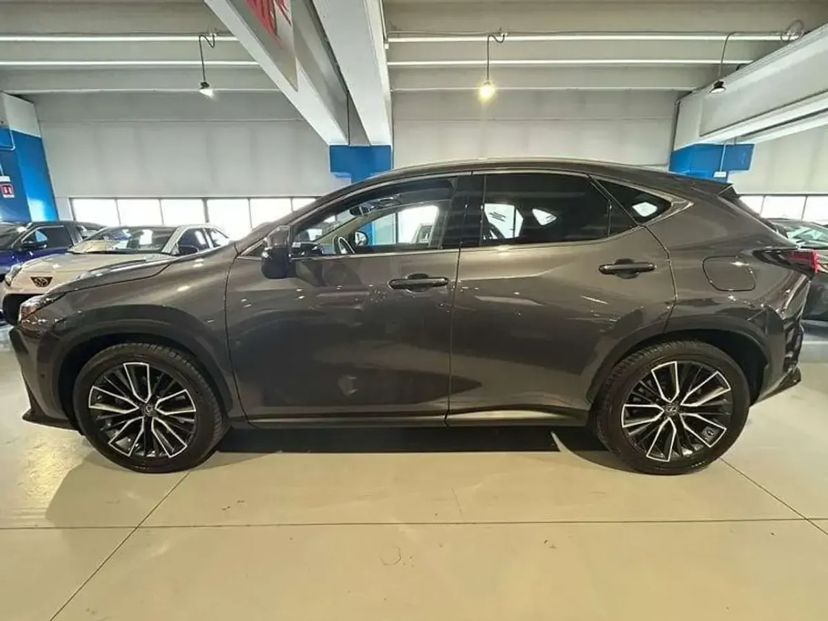 Usata Lexus NX200t Luxury Line 309 CV (227 kW) 2022 Grigio SUV