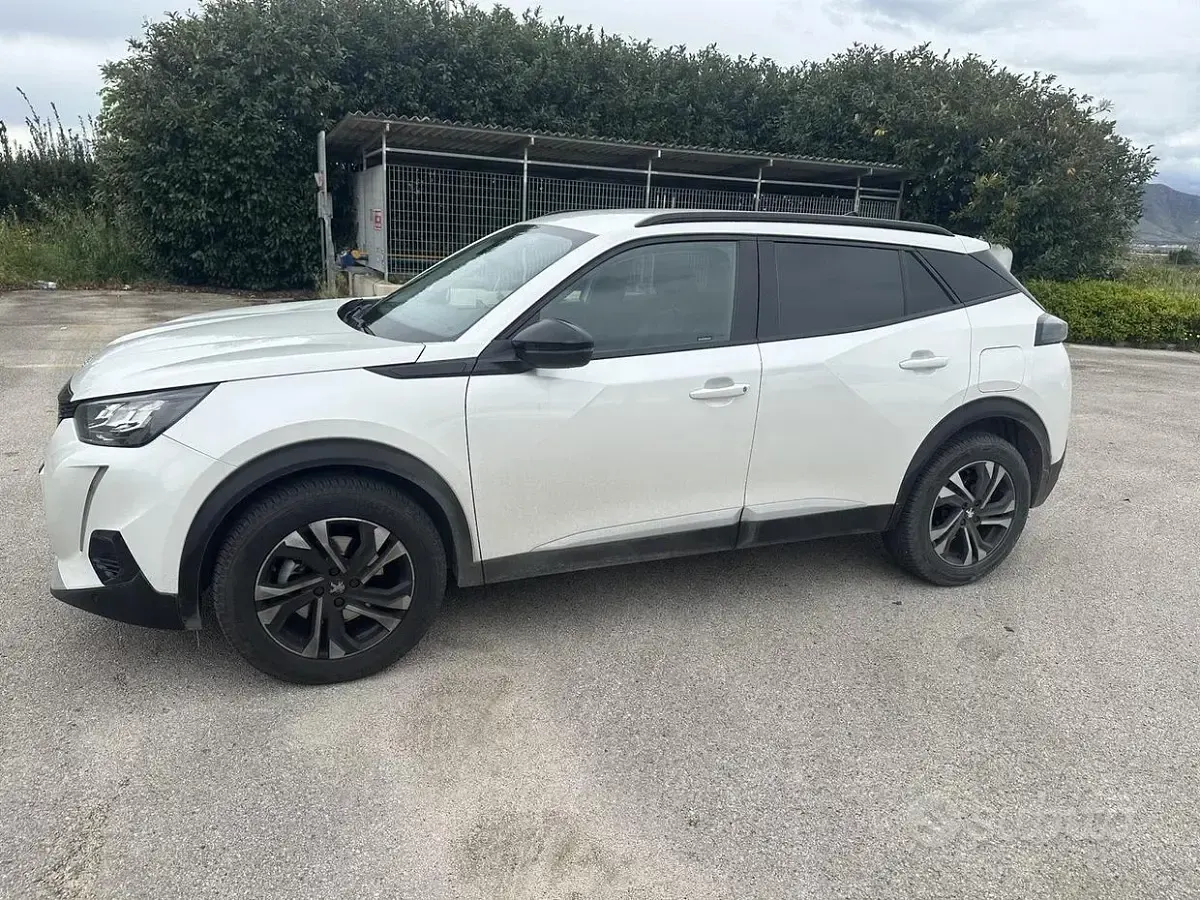Usata Peugeot 2008 Allure 131 CV (96 kW) 2021 Bianco SUV