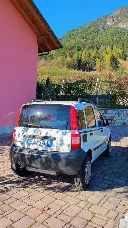 Usata Fiat Panda 4x4 Climbing 69 CV (50 kW) 2011 Utilitaria