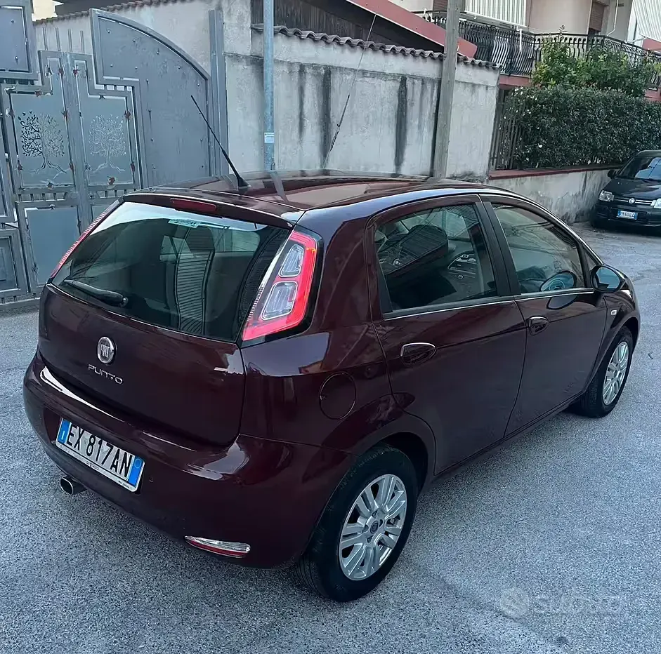 Usata Fiat Punto Evo Lounge 69 CV (50 kW) 2013 Marrone Utilitaria