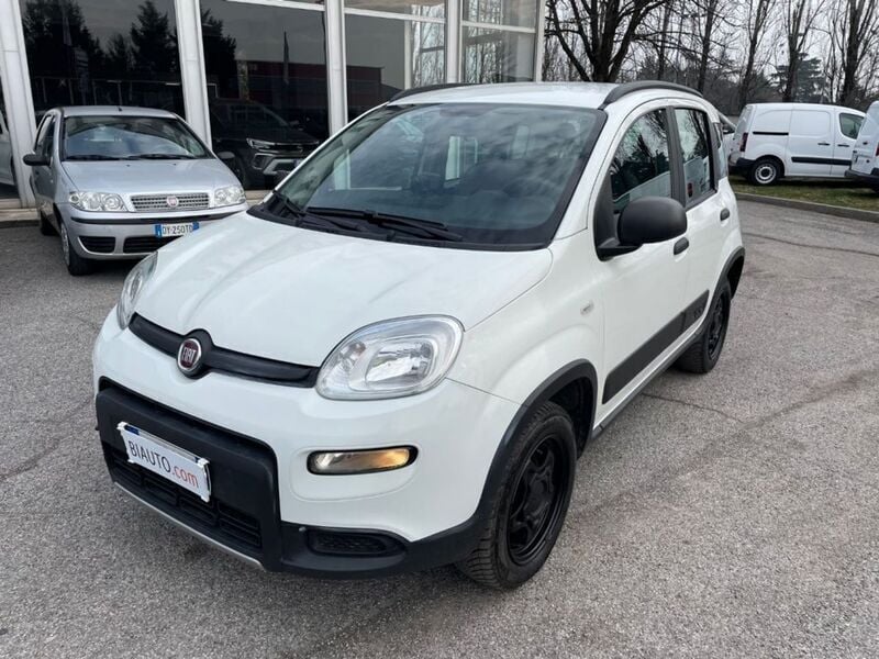 Usato 2019 Fiat Panda 4x4 0.9 Benzin 85 CV (7.700 €)