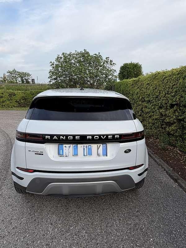 Usata Land Rover Range Rover evoque S 200 CV (147 kW) 2020 Bianco SUV