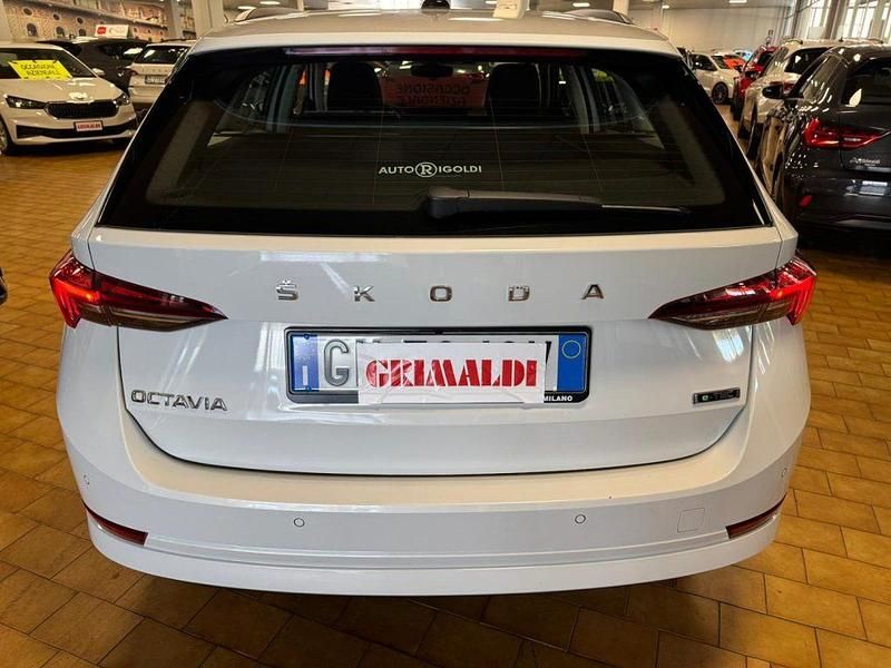 Occasion Skoda Octavia Executive 110 ch (80 kW) 2023 Blanc Break