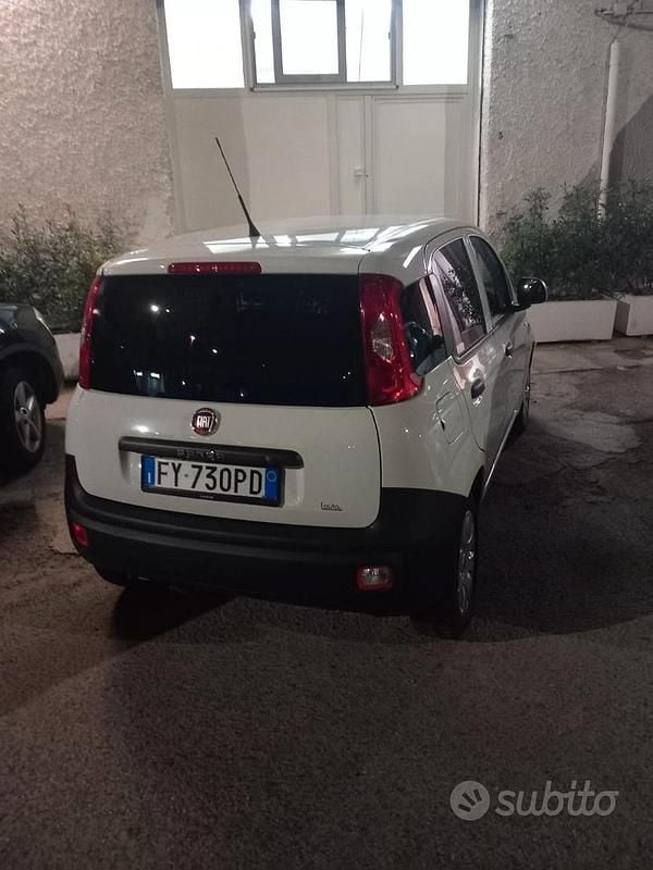 Usata Fiat Panda 2019 Bianco Utilitaria