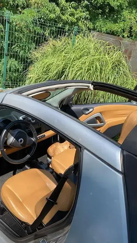 Usata Smart ForTwo Cabrio Passion 71 CV (52 kW) 2010 Cabrio