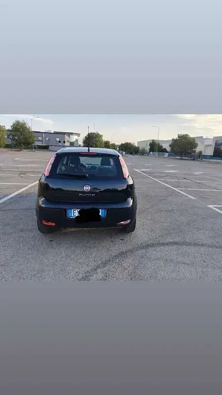 Usata Fiat Punto Evo 69 CV (50 kW) 2013 Utilitaria
