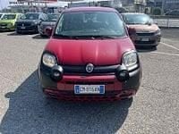 Usata Fiat Panda Cross Cross 69 CV (50 kW) 2023 Rosso Utilitaria