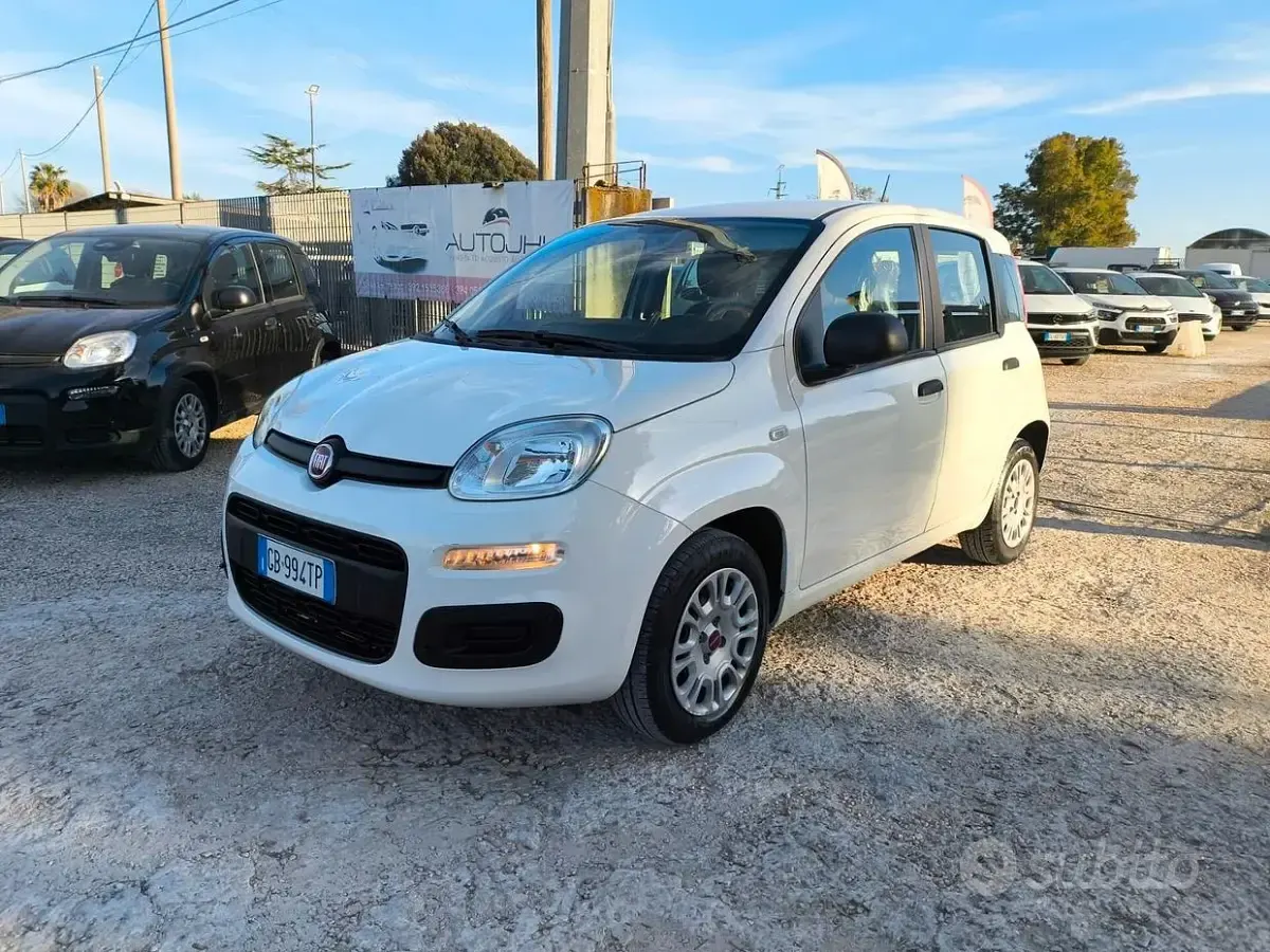 Usata Fiat Panda Easy 69 CV (50 kW) 2020 Bianco Utilitaria