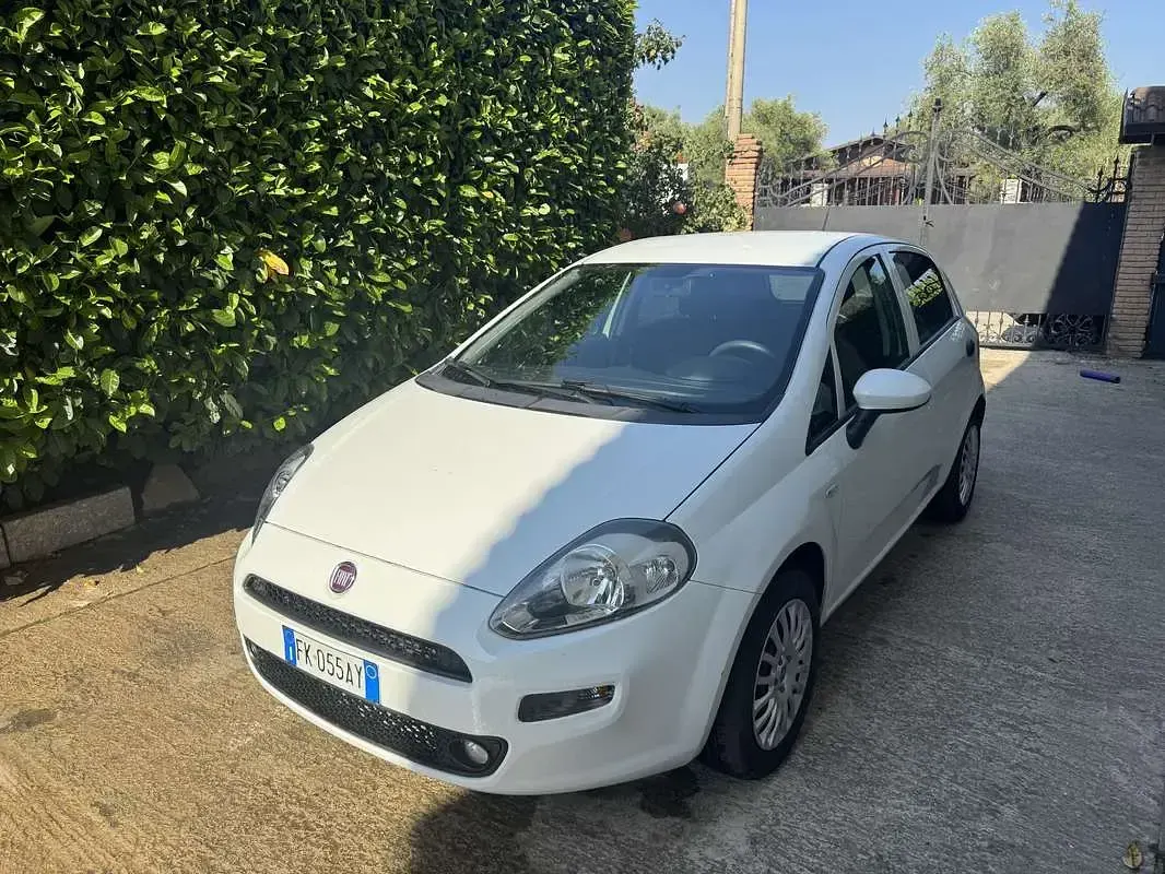 Usata Fiat Punto Evo Emotion 95 CV (69 kW) 2017 Utilitaria