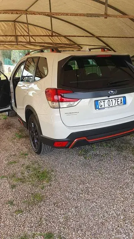 Usata Subaru Forester 241 CV (177 kW) 2024 SUV