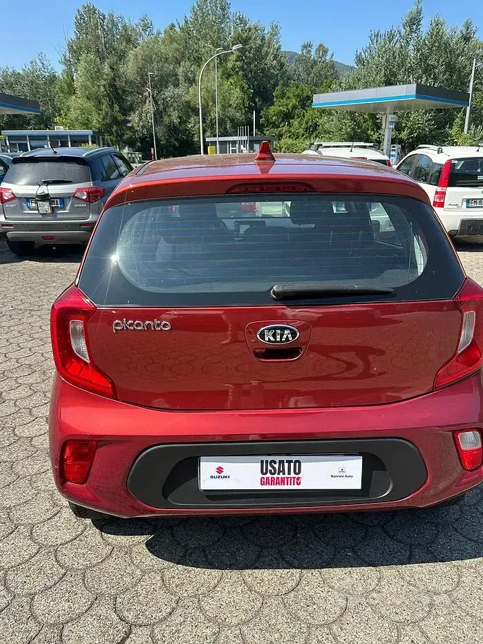 Usata Kia Picanto GT-Line 66 CV (48 kW) 2017 Rosso Utilitaria