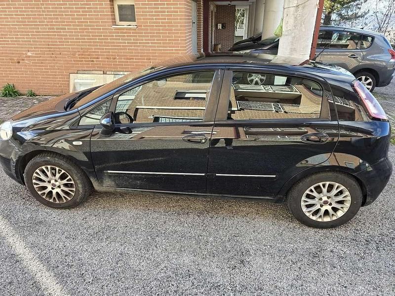 Usata Fiat Punto Evo Active 77 CV (56 kW) 2010 Utilitaria